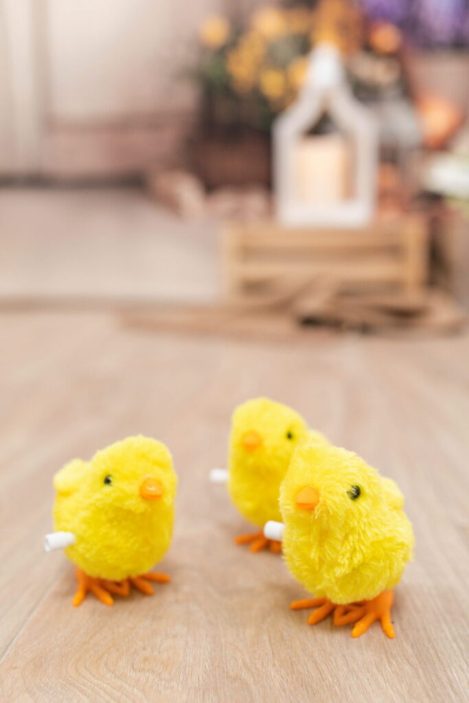 Baby chicks mini sessions Jacksonville Florida